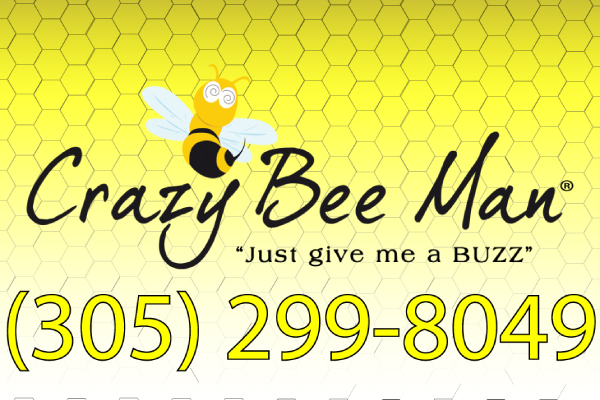 Crazy Bee Man